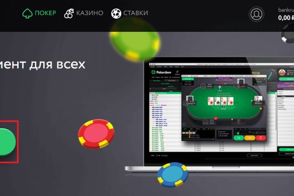 Darknet как войти