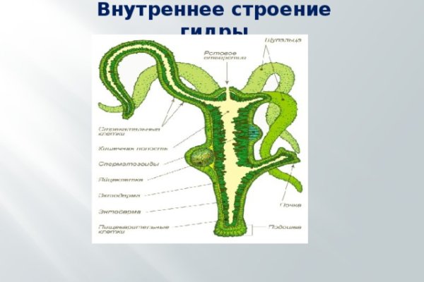 Что продают на кракене